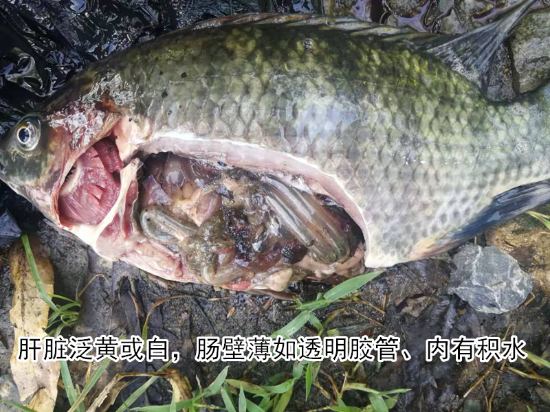 圖片2_副本.png