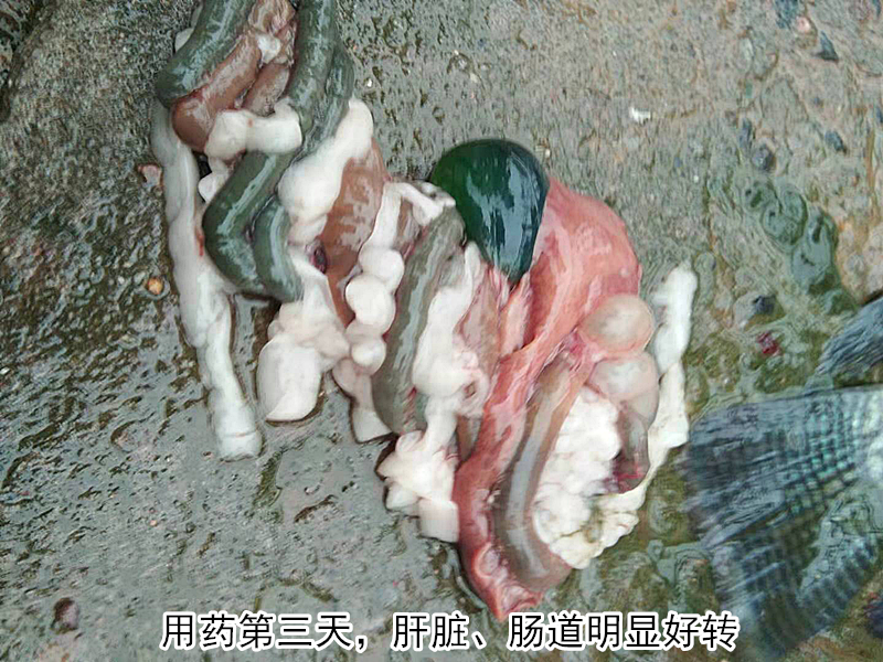 圖片4_副本.png